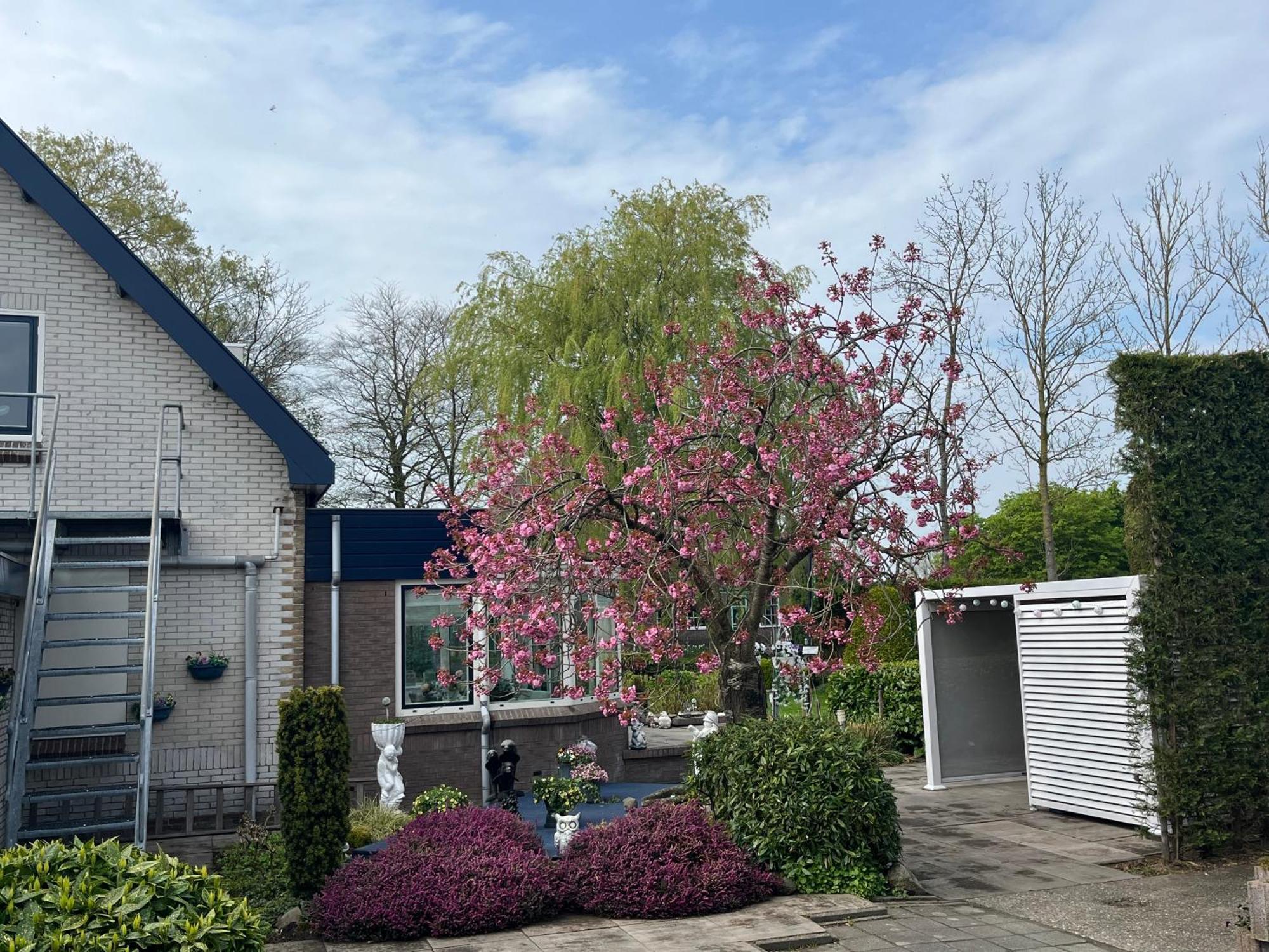 B&B Dol - Fijn Benningbroek Exterior foto